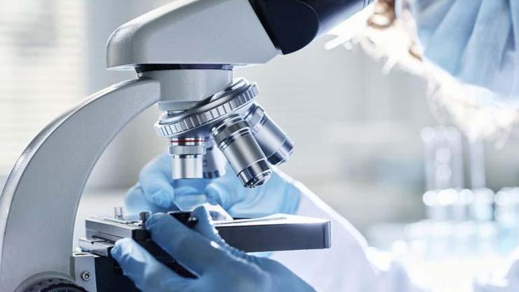 Yapay Zekanın Gücü: Bağırsak Kanserinde Gereksiz Kemoterapiyi Önleyecek