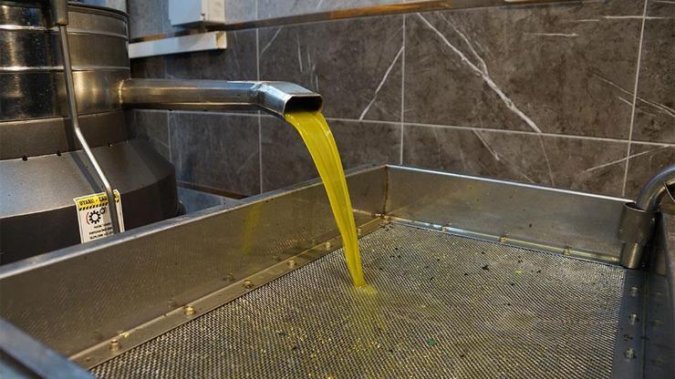 Tariş, zeytinyağı fiyatlarını açıkladı