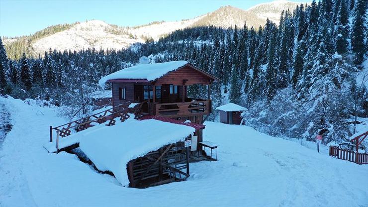 Doğanın büyüleyici resmi Deresökü Orman Parkında kartpostallık manzaralar