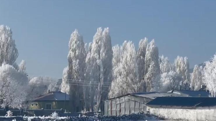 Eksi 20 derece soğukla mücadele: Göle’de hayat buz kesti