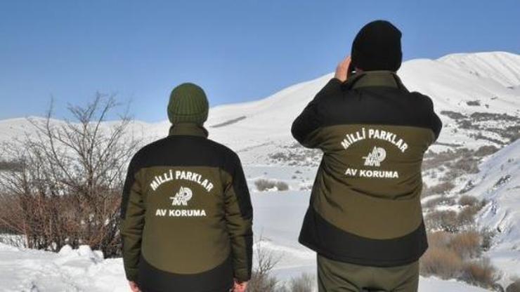 Yaban keçisi vuran avcıya 1 milyona yakın para cezası