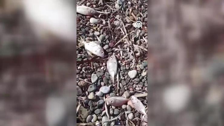 İnceleme başlatıldı İnceleme başlatıldı