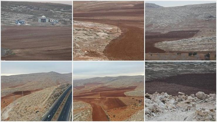 Güneydoğu Anadolu’da 50 bin dekar taşlık arazi tarıma kazandırılacak