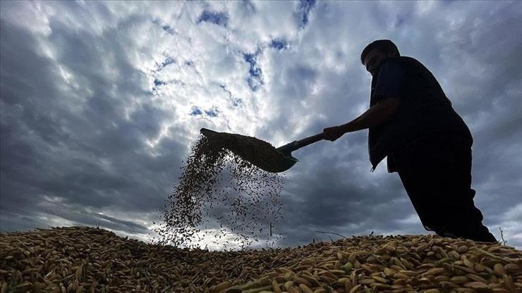 Çiftçilere 1,6 milyar liralık tarımsal destek ödemesi bugün hesaplara yatıyor