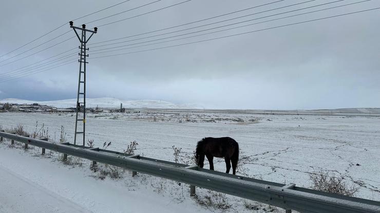 Ağrı ve Hakkari beyaza büründü