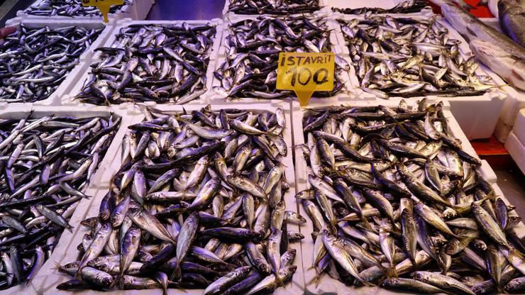 'Kar ve fırtına' nedeniyle balıkçılar ava çıkamadı, tezgahlarda çeşitlilik azaldı 'Kar ve fırtına' nedeniyle balıkçılar ava çıkamadı, tezgahlarda çeşitlilik azaldı