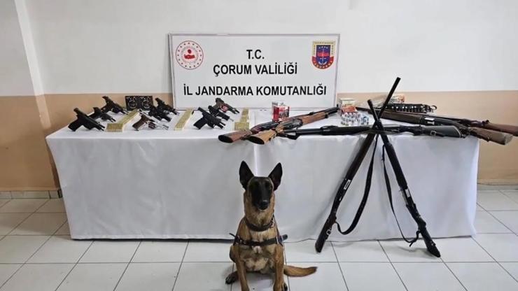 202 kişi yakalandı 202 kişi yakalandı