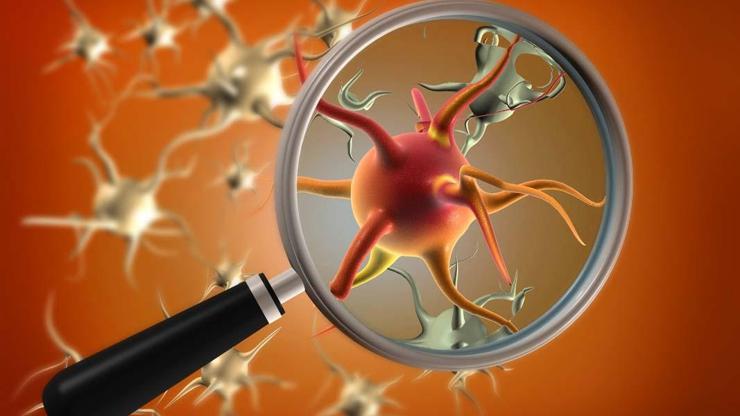 ÖLÜMCÜL MANTAR: Dünya Genelinde Hızla Yayılıyor, Her Yıl 6,5 Milyon Kişiyi Etkiliyor Kimler Risk Altında