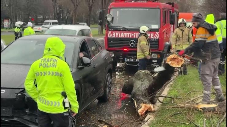 4 araç birbirine girdi Sebebi ağaç dalı