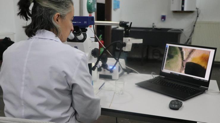 Kayseri’de müzedeki ve kazı çalışmalarında bulunan eserler konservasyon laboratuvarında temizleniyor Kayseri’de müzedeki ve kazı çalışmalarında bulunan eserler konservasyon laboratuvarında temizleniyor