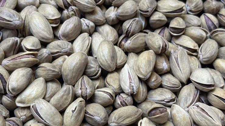 Türkiye’nin Antep fıstığı ihracatı 2025’te 178 milyon doları aştı