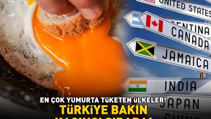 EN ÇOK YUMURTA TÜKETEN ÜLKELER Faydaları saymakla bitmiyor: A, B12, B2 vitaminleri ile bağışıklığı güçlendiriyor Türkiye bakın kaçıncı sırada