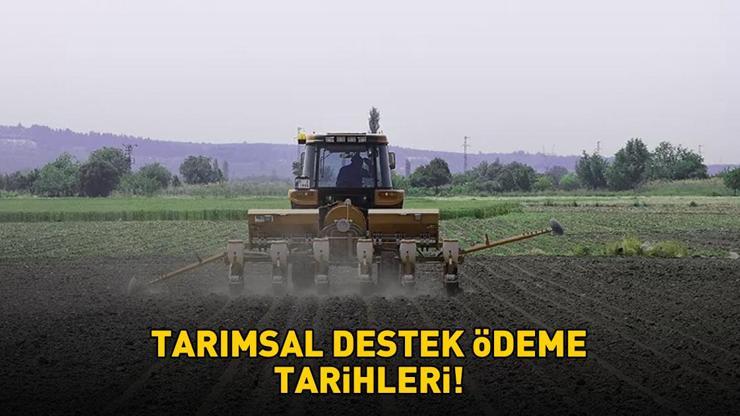 TARIMSAL DESTEK ÖDEMELERİ SORGULAMA EKRANI 2026 E-DEVLET | Tarımsal destek ödemeleri yattı mı, ne zaman yatacak? Çiftçi destek ödemesi tarihi!