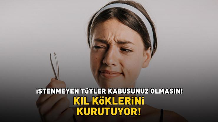 Ağda, tıraş ve epilasyona son! Kıl köklerini kurutan 2 malzemeli doğal yöntem: 'İSTENMEYEN TÜYLER KABUSUNUZ OLMASIN' Ağda, tıraş ve epilasyona son! Kıl köklerini kurutan 2 malzemeli doğal yöntem: 'İSTENMEYEN TÜYLER KABUSUNUZ OLMASIN'