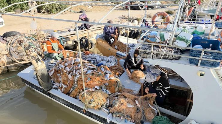 Silifke’de balık çiftliğinin ağı yırtıldı, tekneler balıkla doldu
