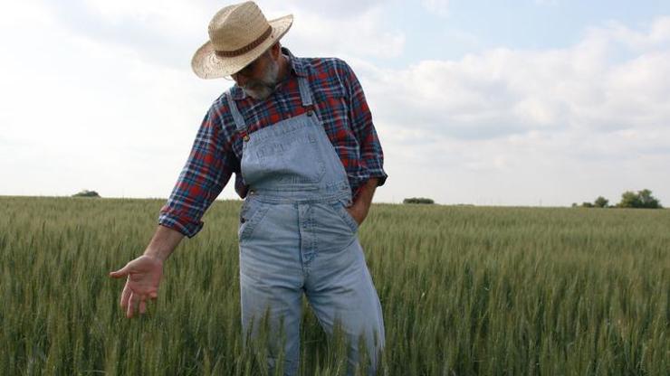 ABD’den Türkiye’ye aynı sorun! Depodaki pirinç yük oldu... Çiftçi çıkış arıyor