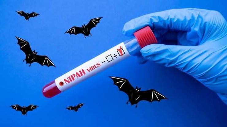 Sessiz Bir Tehdit: Yarasalardan İnsanlara... Nipah Virüsü COVID-19 Gibi Yayılabilir Mi