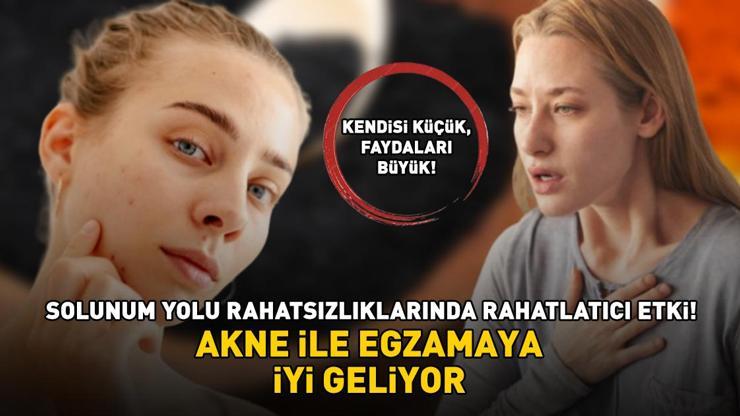 AKTARLARIN EN ÇOK SATANI! Faydaları saymakla bitmiyor: Akne ile egzamaya iyi geliyor; solunum yolu rahatsızlıklarında rahatlatıcı etki gösteriyor
