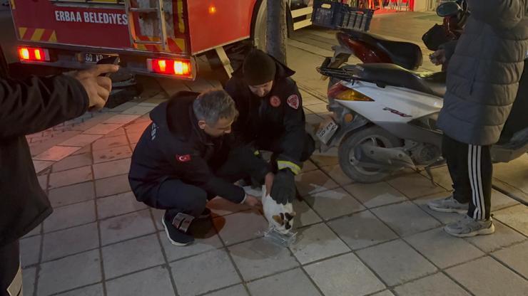 Boş evin balkonunda mahsur kalan kediyi itfaiyeciler kurtardı Boş evin balkonunda mahsur kalan kediyi itfaiyeciler kurtardı