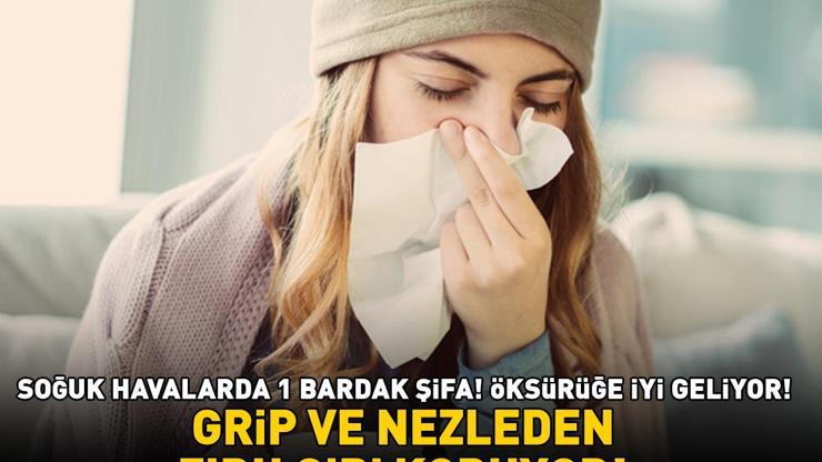 GRİP VE NEZLEDEN ZIRH GİBİ KORUYAN 3 KIŞ ÇAYI Soğuk algınlığını söküp atıyor, balgam ve öksürüğü bıçak gibi kesiyor