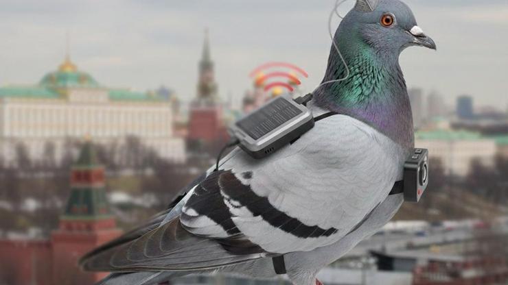 Kremlin’in yeni gözü: GÜVENCİNLER Birer casusa dönüştürülüyorlar... Projenin ucunda Putinin kızı var