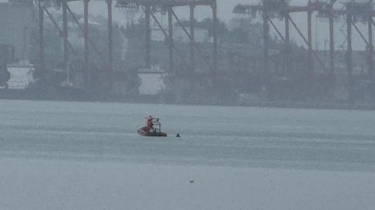 Bursa'da denizde erkek cesedi bulundu