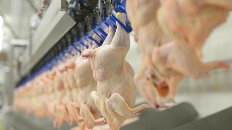 SON DAKİKA... Tavuk ürünleri ihracatı yarından itibaren durdurulacak
