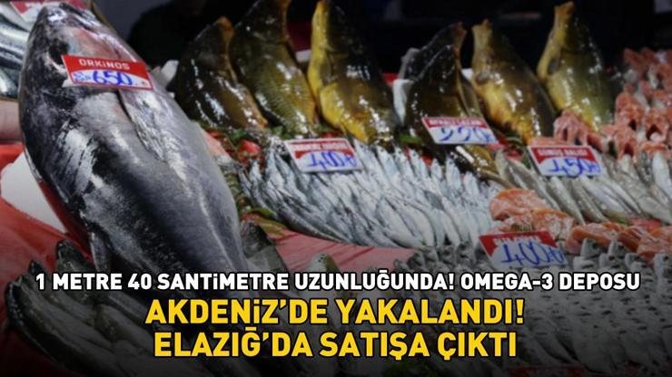  Kalp sağlığını koruyor, kötü kolesterolü düşürüyor