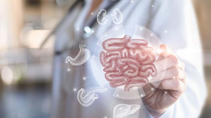 11 Binden Fazla Örnek İncelendi Bağırsakların Gizli Kahramanı: B12 Vitamini Üreten Bakteri Keşfedildi Sağlıklı Bireylerde Daha Sık Görülüyor