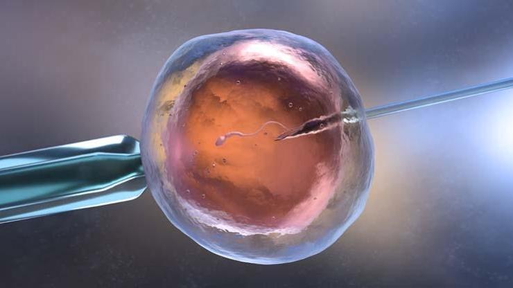 Haftada Bir Kredi Kartı Ağırlığında Yutuyoruz Yalnızca Çevrede Değil, Kanımızda ve Organlarımızda Kısırlık Alarmı: Erkeklerde Sperm Sayısı Yarıya Düştü Plastik Şişeler...
