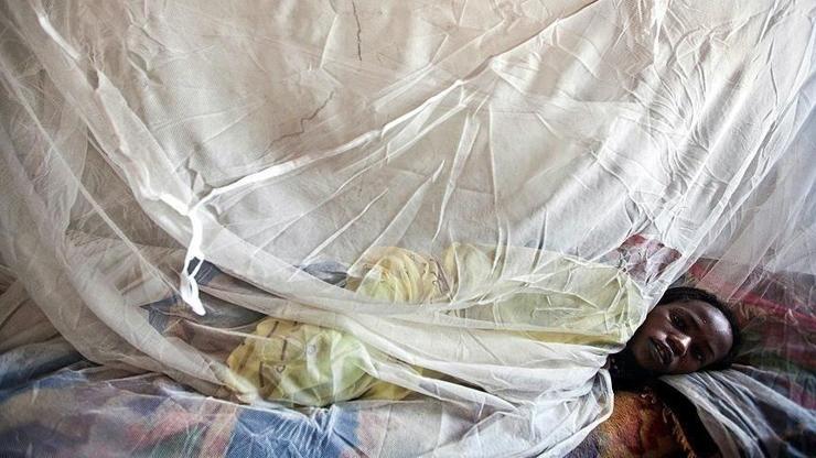 Nijeryada Lassa ateşi nedeniyle ölenlerin sayısı yükseliyor