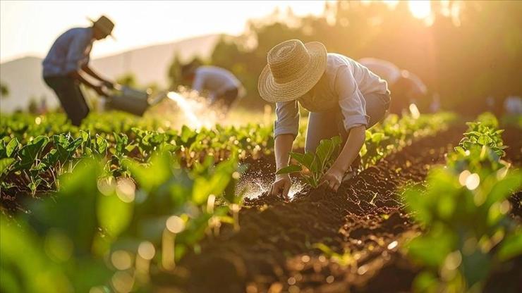  Üre ithalatında yeni dönem
