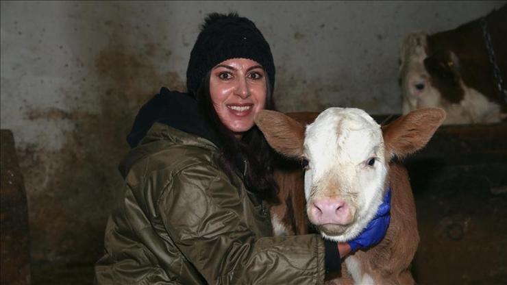 Devlet desteğiyle başladı, 3 yılda 200 başlık sürüye ulaştı Devlet desteğiyle başladı, 3 yılda 200 başlık sürüye ulaştı