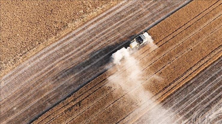 Tarım sezonunda yüzde 38 artış