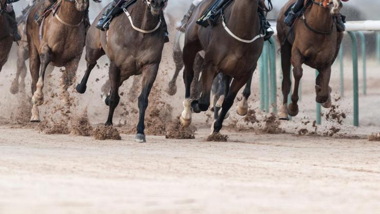 Adana'da sakatlanan yarış atının kesilip, Mersin'de kavurma yapıldığı iddiası Adana'da sakatlanan yarış atının kesilip, Mersin'de kavurma yapıldığı iddiası