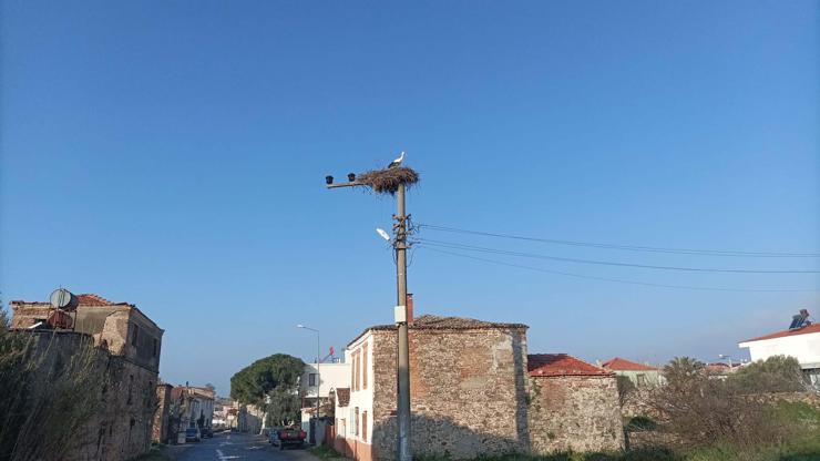  Yılın ilk leyleği yuvasına döndü