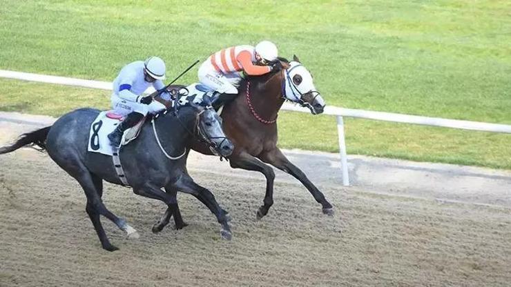 İzmir'de 64'üncü Hipodrom.com Ege Derbisi'nin kazananı The Protecter