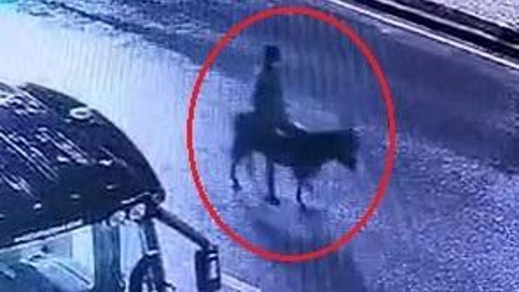 Kuyumcuyu soyup eşekle kaçmıştı: İstenen ceza belli oldu
