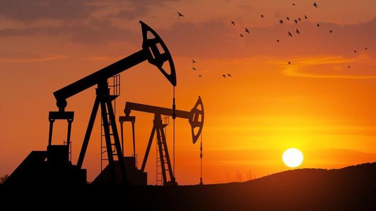 Japonya, ikinci kez petrol rezervlerini kullanıma açıyor