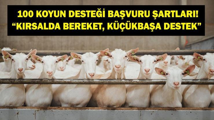  TARSİM “Kırsalda Bereket, Küçükbaşa Destek” Başvuru Tarihleri Neler? Kimler Faydalanabilir, Başvuru Şartları Neler?