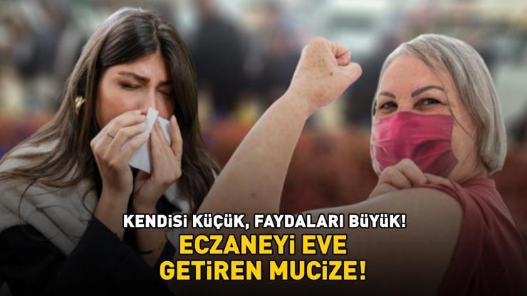 Kilosu 80 TL! Eczaneyi eve getiren mucize: Güçlü bir antioksidan kaynağı! Vücudu hastalıklara karşı koruyor, bağışıklığı destekliyor Kilosu 80 TL! Eczaneyi eve getiren mucize: Güçlü bir antioksidan kaynağı! Vücudu hastalıklara karşı koruyor, bağışıklığı destekliyor