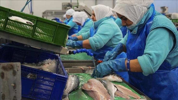 turk-su-urunleri-ihracatinda-rekor-baslangic-2026-icin-hedef-25-milyar-dolar