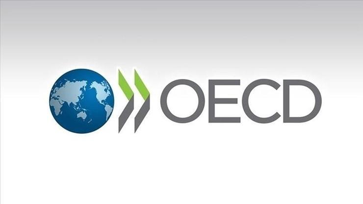 oecd-raporu-enerji-fiyat-soklari-enflasyonu-ve-buyumeyi-etkileyebilir
