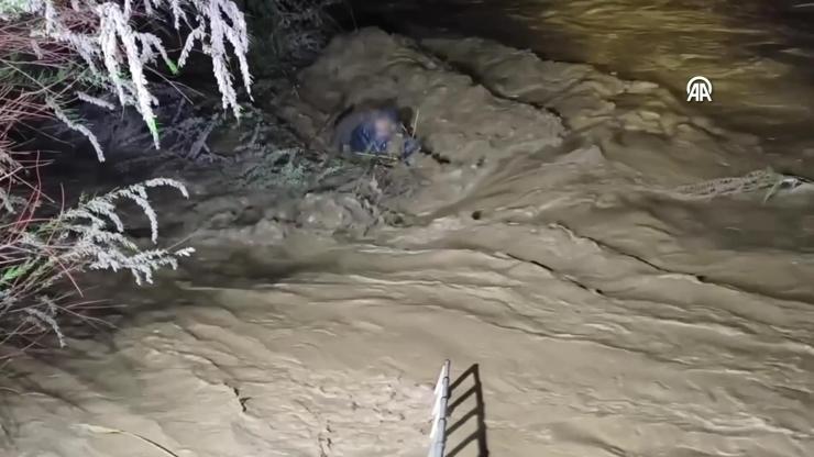 Ağaç dallarıyla hayata tutundu! Suya kapılan sürücü böyle kurtarıldı Ağaç dallarıyla hayata tutundu! Suya kapılan sürücü böyle kurtarıldı