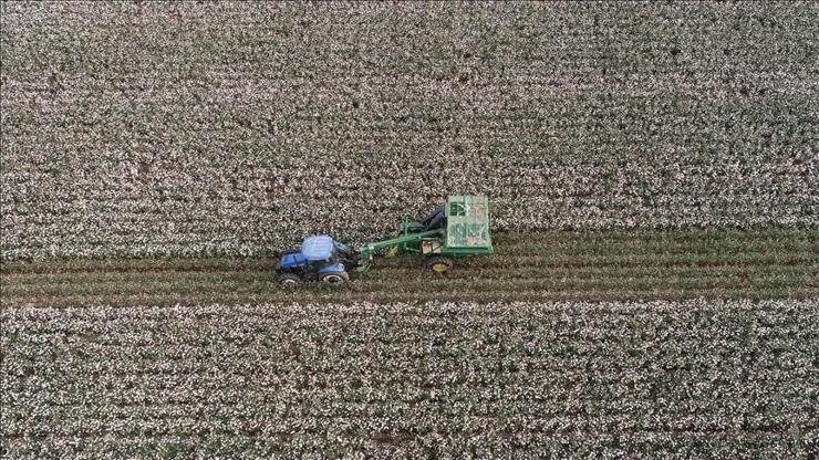 Hürmüz Boğazı'ndaki aksamalar dünya genelinde çiftçileri zora sokuyor Hürmüz Boğazı'ndaki aksamalar dünya genelinde çiftçileri zora sokuyor