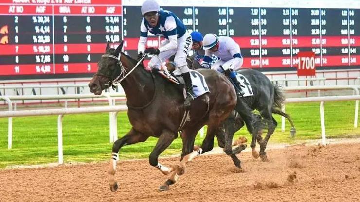 Adana’da Akdeniz Derbisi’nin kazananı ‘Dapper Man’ oldu