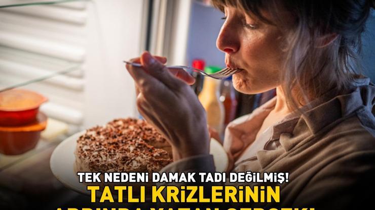 Çikolata, pasta, baklava, kadayıf, künefe... Tam bir lezzet şöleni Tatlı krizlerinin ardında yatan gerçek: Tek nedeni damak tadı değilmiş