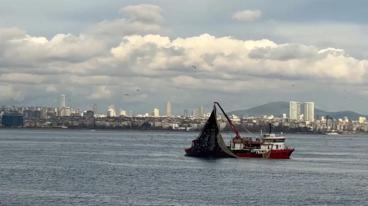 Av mevsiminin son günlerinde Marmara'da istavrit bolluğu