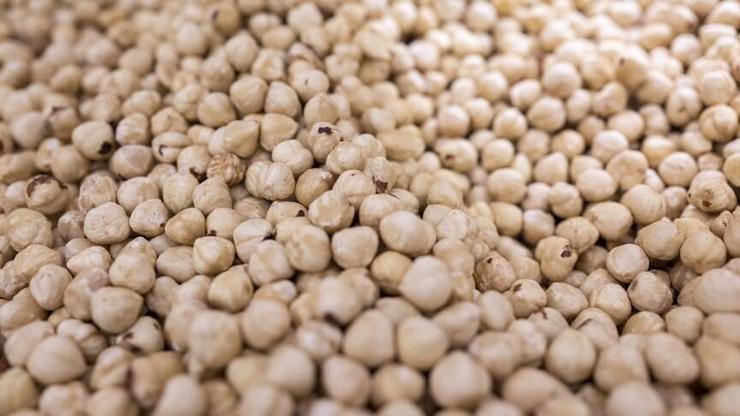 Doğu Karadeniz fındık ihracatında 378 milyon doları aştı Doğu Karadeniz fındık ihracatında 378 milyon doları aştı