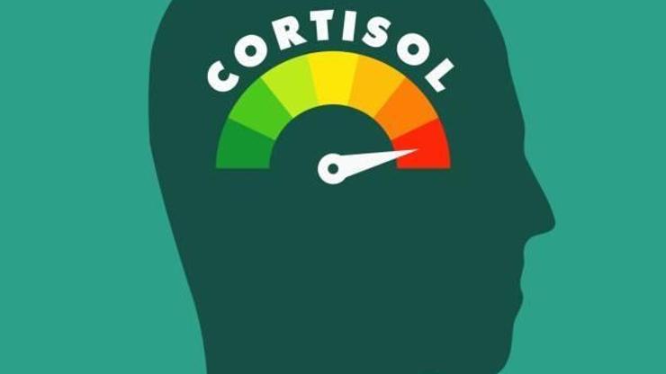 Kortizon Kullanımı ve Cushing Sendromu: Uzman Uyarıyor